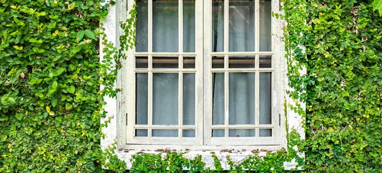 Garden Window Repair Near Me in Dania Beach, FL